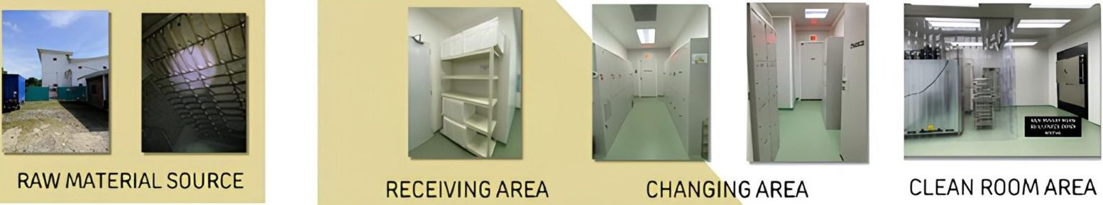 Bird's nest processing steps from farm to product