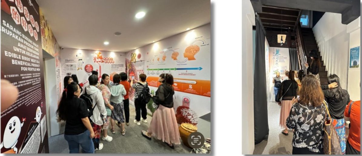 halal bird's nest Malaysia