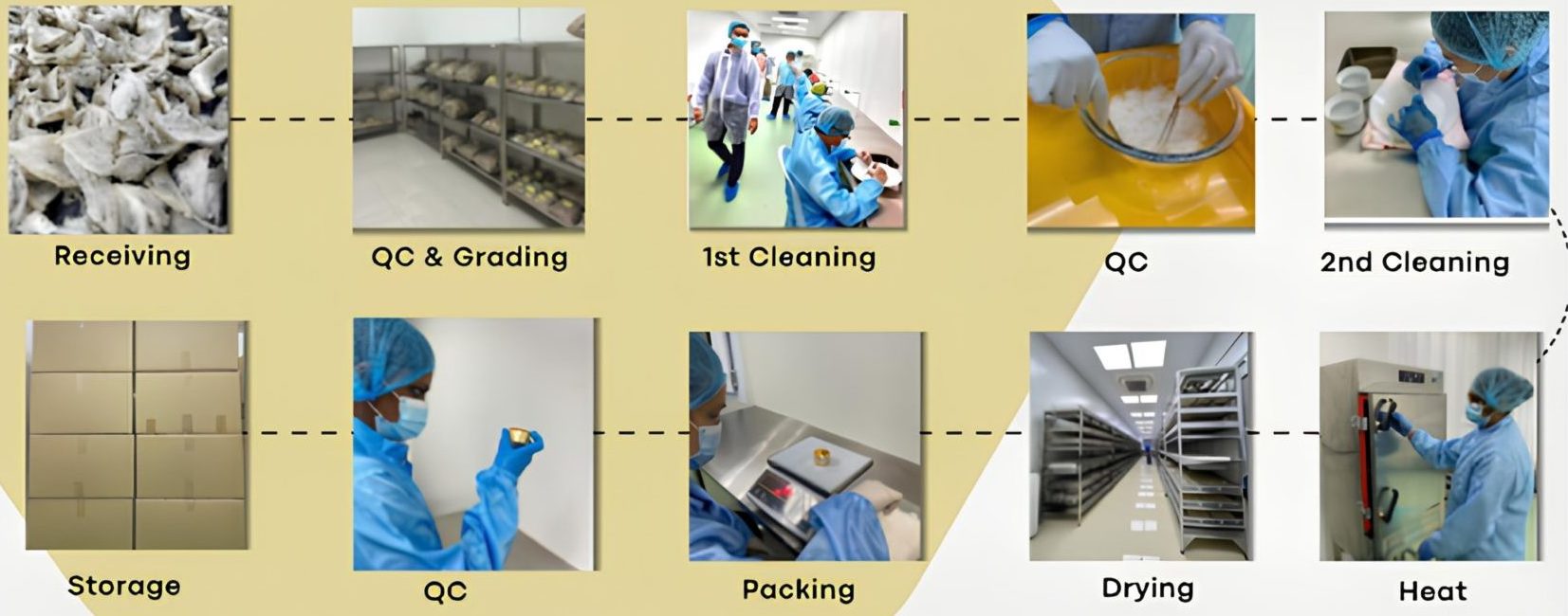 Bird's nest processing steps from farm to product