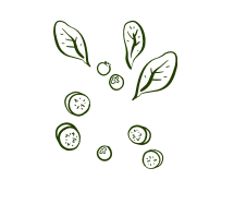 halal bird's nest Malaysia